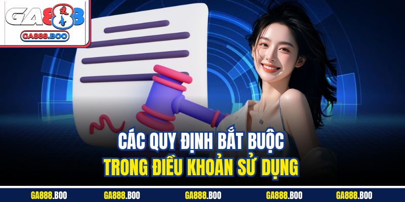 Điều Khoản Sử Dụng 2 Các quy định bắt buộc trong điều khoản sử dụng