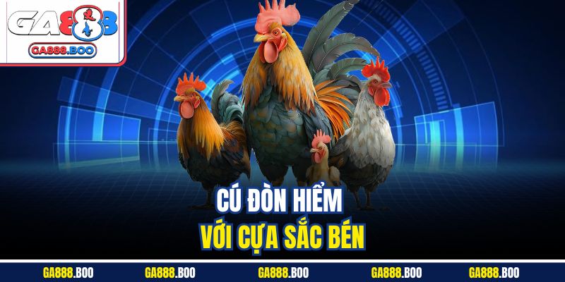 Tìm Hiểu Sân Chơi Đá Gà Đòn Đỉnh Cao Kịch Tính Ga88 3 Cú đòn hiểm với cựa sắc bén