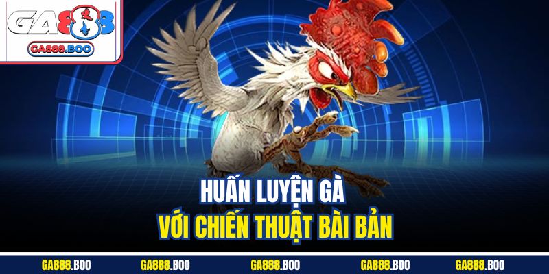 Tìm Hiểu Sân Chơi Đá Gà Đòn Đỉnh Cao Kịch Tính Ga88 4 Huấn luyện gà với chiến thuật bài bản