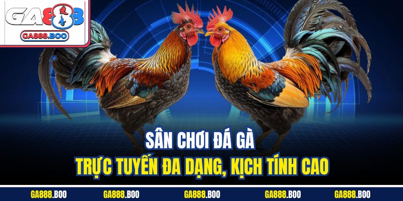 Trải Nghiệm Sôi Động Kịch Tính Với Đá Gà Cựa Sắt Ga88 3 Sân chơi đá gà trực tuyến đa dạng, kịch tính cao