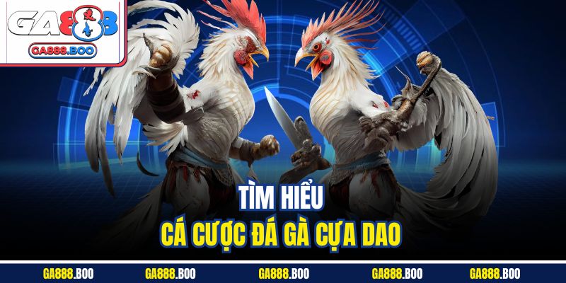 Đặt Cược Đá Gà Cựa Dao Thả Ga, Trả Thưởng Cao Tại Ga88 2 Tìm hiểu cá cược đá gà cựa dao