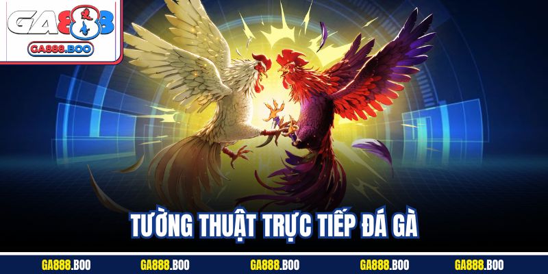 Tường Thuật Trực Tiếp Đá Gà - Taận Hưởng Không Khí Sôi Động